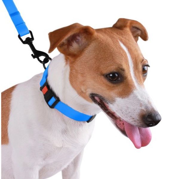 Нашийник ACTIVE для собак водовідштовхувальний із захисним полімерним покриттям Блакитний 20мм (30-40см)