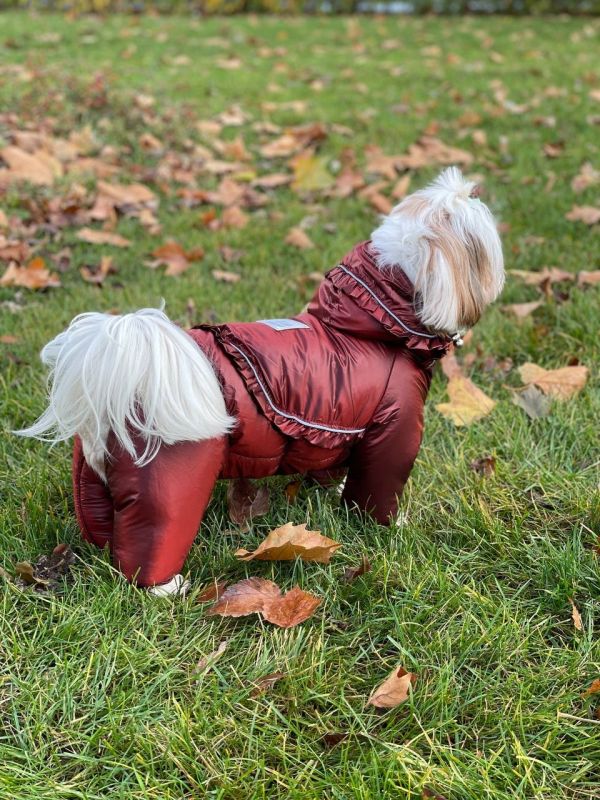 Комбінезон Принцеса на силіконі (дівчинка) XS