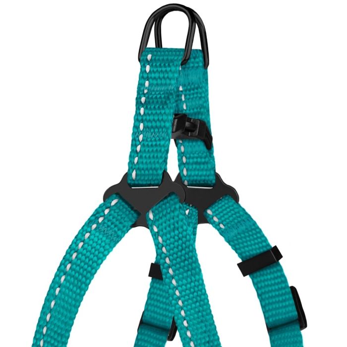 Шлея для собак BronzeDog Бірюза пластиковий фастекс 1225 68Т 10мм (24-30см)