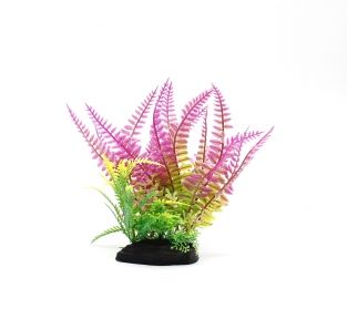 Рослина 1885 см. 