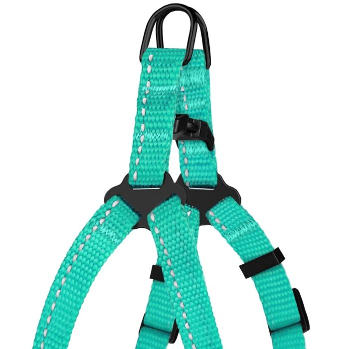 Шлея для собак BronzeDog ментолова пластиковий фастекс 1308 68Т 10мм (24-30см)