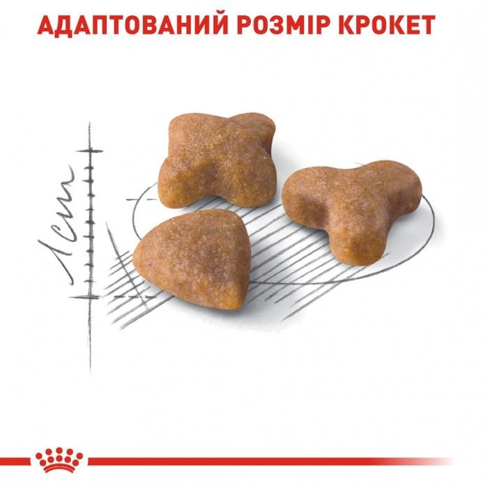 АКЦІЯ Royal Canin SENSIBLE чутливе травлення набір корму для котів 2 кг + 4 паучі 
