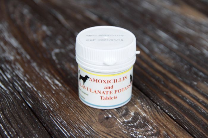 Амоксицилін клавуланова кислота 500мг 20 таб банку, 1ТБ  40кг ваги 