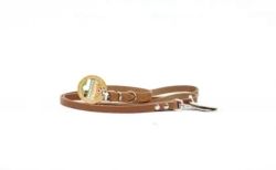 Набір Style Paw Нашийник + повідець Коричневий 36см  1,2 м. 