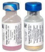 Вангард 5  CV-l-вакцина з коронавірусом Вангард 5  CV-l коронавірус