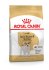 Royal Canin JACK Russell ADULT для собак порода Джек Рассел Терєр 0,5 кг
