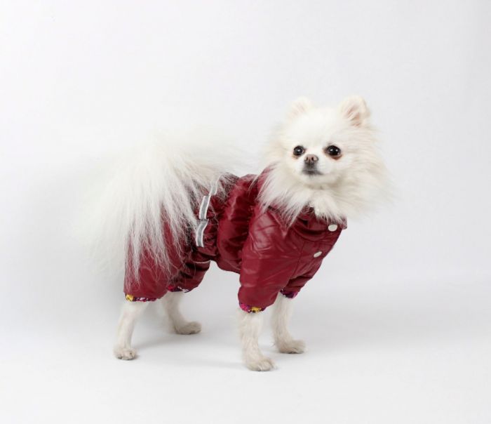 Набір Фрезія жилет силікон + комбінезон велсофт бордо (дівчинка) S