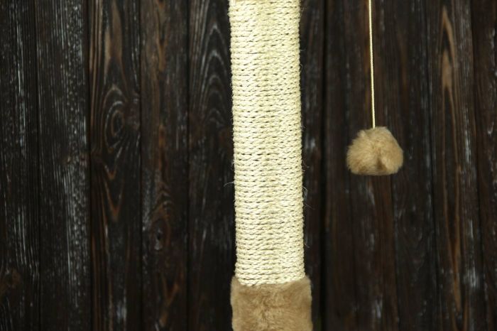 Когтеточка Гном, сизаль зелений