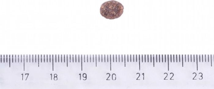 Brit Care Dog Sustainable Adult Adult Small Breed Корм для собак малих порід з куркою та комахами 1кг