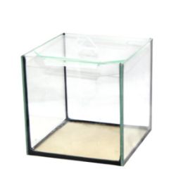 Акваріум для креветок скляний з кришкою 222222 см 11 л