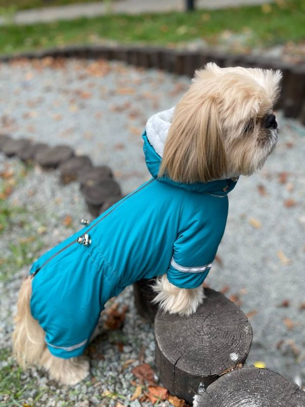 Єдність комбінезон для собак хлопчиків велсофт без силікону S3