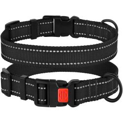 Нашийник ACTIVE нейлоновий зі світловідбиттям і пластиковою пряжкою чорний 25мм (35-45см)