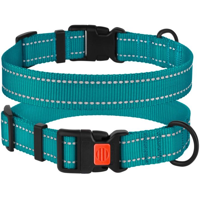 Ошейник для собак BronzeDog бирюза пластиковий фастекс 1225 50Т 25мм (43-66см)