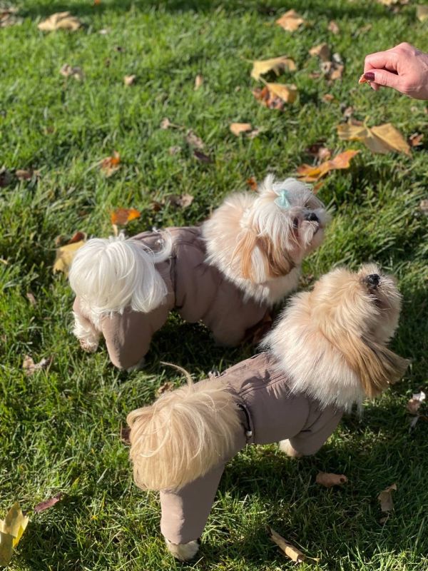 Комбінезон Шейх на силіконі (хлопчик) S