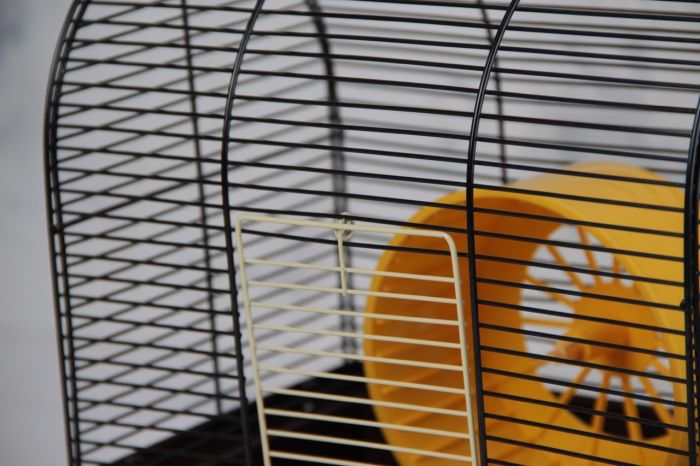 Клітка Лорі Бунгало-міні 280180280 мм Фарба