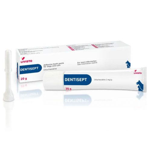 Дентисепт гель оральний 0,2 хлоргексид, 20г, Ливисто 