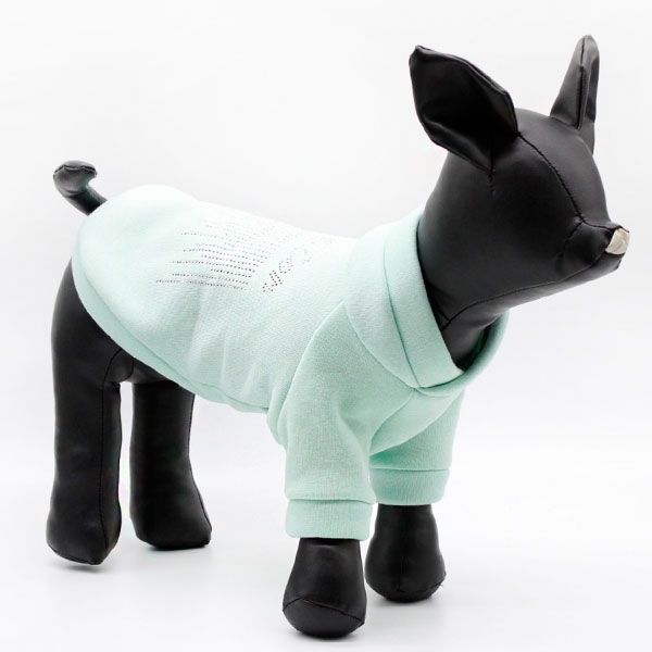 Світшот Сіріус трикотаж на флісі (хлопчик) S1 (А31В40-48 см)