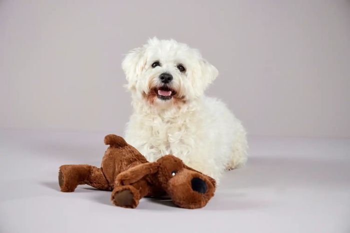 М'яка іграшка для собак Wolters Plush Собака 20 см Коричневий без звуку