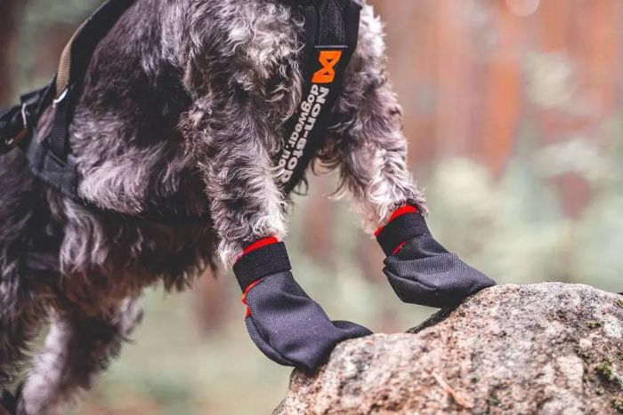 Шкарпетки для собак Solid sock Non-stop dogwear Чорний L 4 Шт.