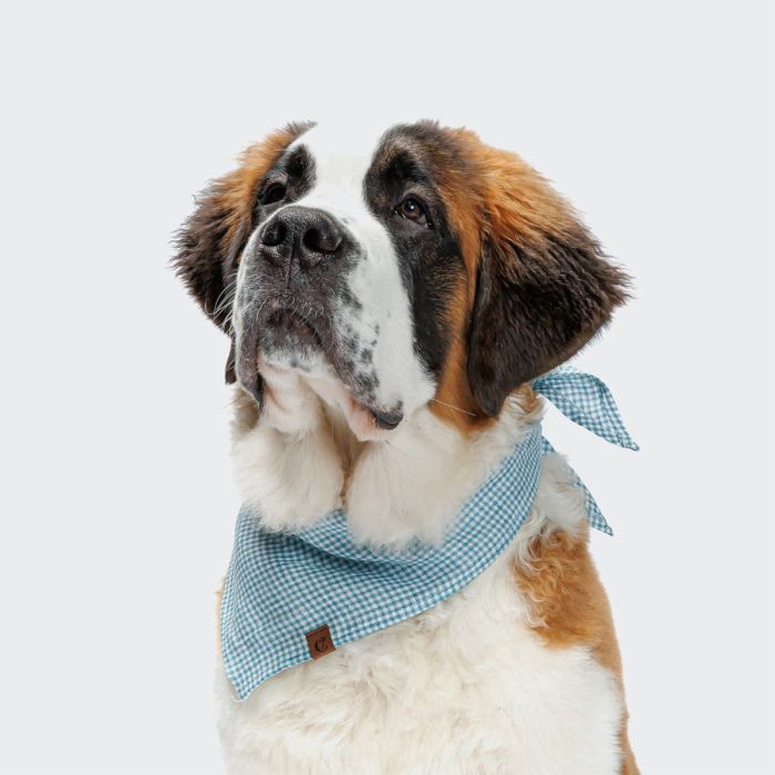 Бандана для собак Cloud7 Mini Check Синій M