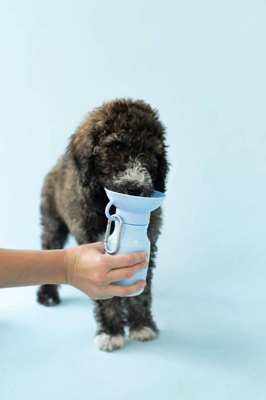 Пляшка-поїлка для собак Springland Блакитний 450 мл