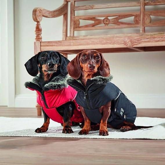 Куртка парку для собак Wolters Amundsen для Мопсів та Бульдогів 32 см Чорний