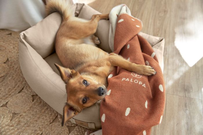 Лежак для собак Palopa Fred Baumwolle Бежевий S