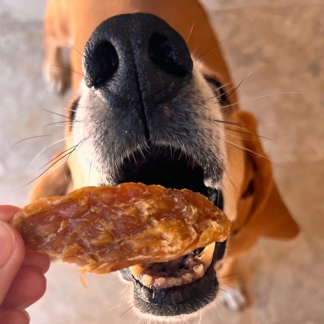 Натуральні ласощі для собак Cooka's Cookies Turkey Crispies 100% Сушена індичка 95 г