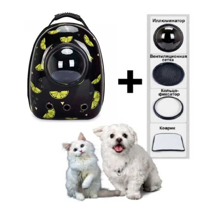 Рюкзак пластик ілюмінатор 32х42х29 см лимон