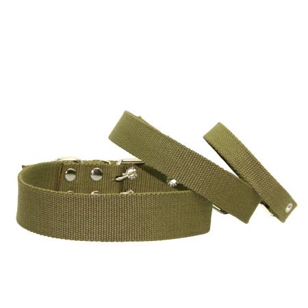 Нашийник для собак брезент одинарний, економ 21-35 см