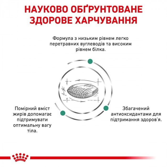 АКЦІЯ Royal Canin Diabetic при цукровому діабеті набір корму для котів 1,5 кг + 4 паучі 