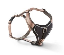 Шлейка для собак пом'якшена Wolters Professional Comfort -1 27-32 см / 15 мм Шампань