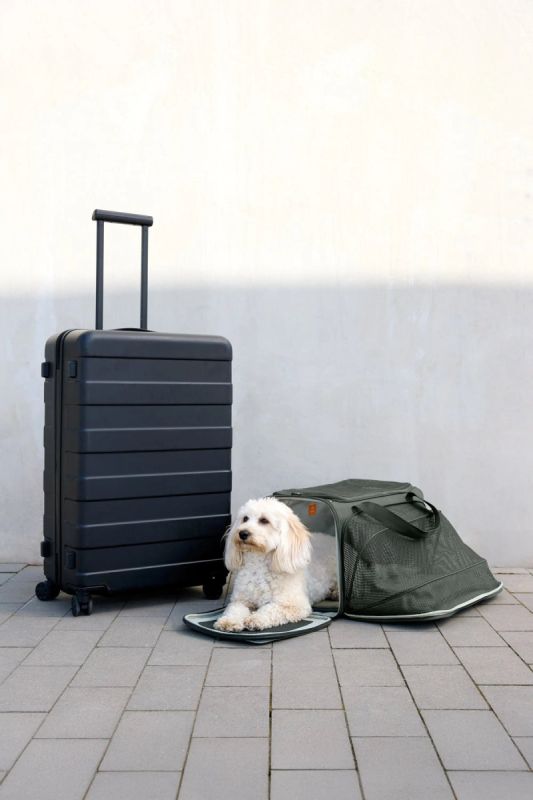 Сумка-перенесення для собак Palopa Benno Оливковий