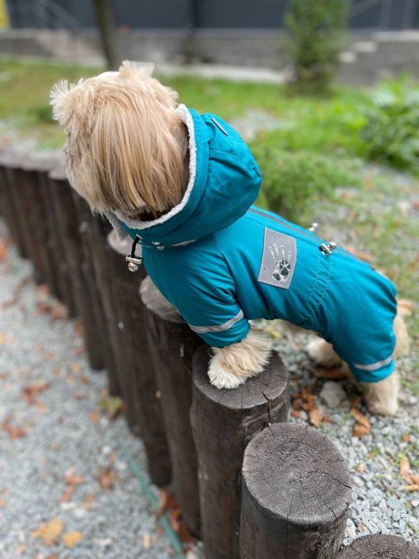 Єдність комбінезон для собак хлопчиків велсофт без силікону S