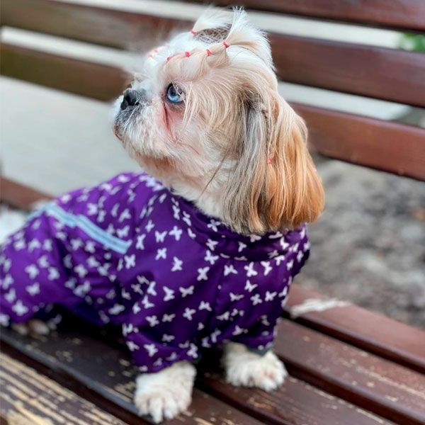 Комбінезон Лялечка на тонкій підкладці (дівчинка) S2