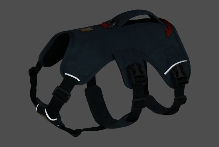 Підтримуюча шлейка для службових собак Ruffwear Web Master XXS 33-43 см Синій