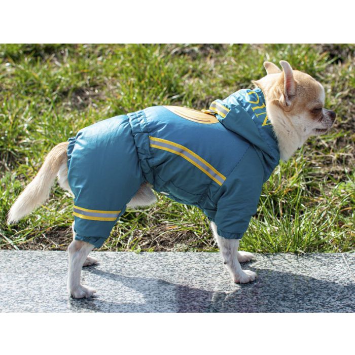 Комбінезон для собак хлопчиків на силіконі M1