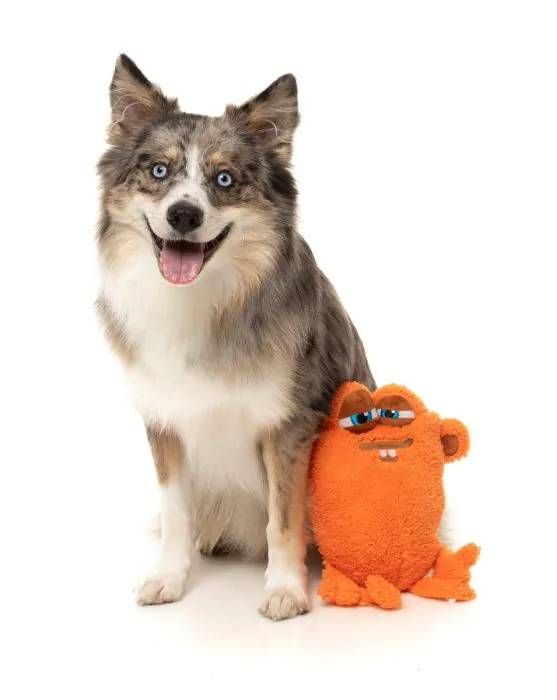 М'яка іграшка для собак FuzzYard Уберт Помаранчевий L