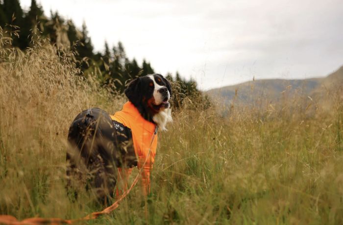 Комбінезон для собак жіночої статі Non-stop dogwear Protector dog suit F Помаранчевий 27