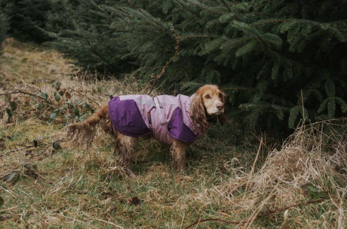 Тепла зимова куртка для собак Glacier jacket 3.0 Non-stop dogwear Фіолетовий 30