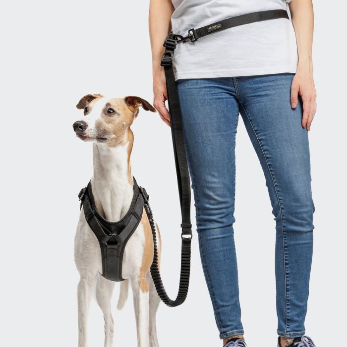 Y-подібна шлейка для собак Cloud7 Y-3 Harness AKTIV Чорний L