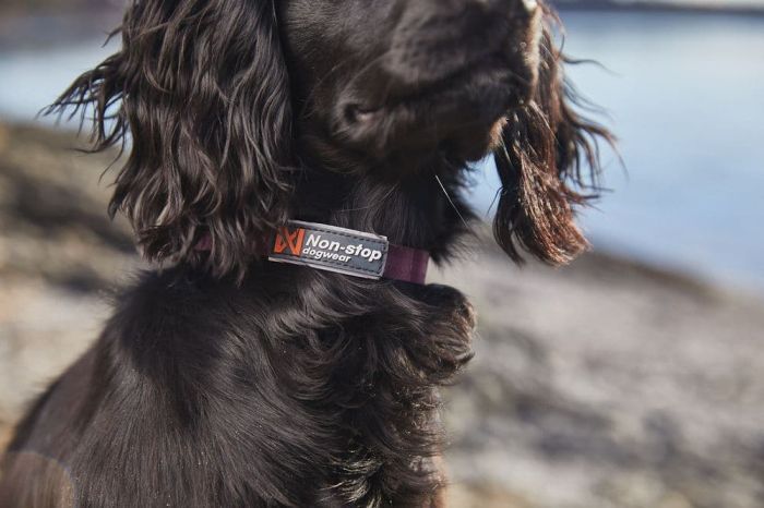 Нашийник для собак Tumble Non-stop dogwear Фіолетовий 2XS