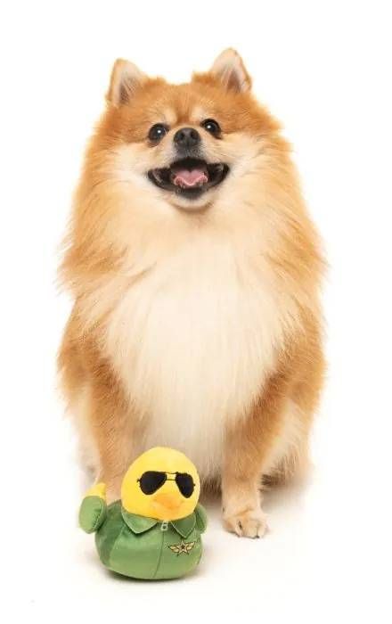 М'яка іграшка для собак FuzzYard Качечка Гус S