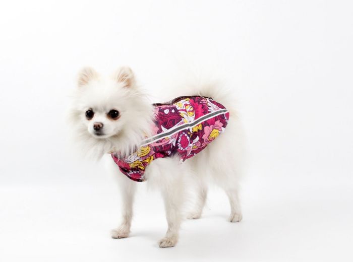 Набір Фрезія жилет силікон + комбінезон велсофт бордо (дівчинка) S