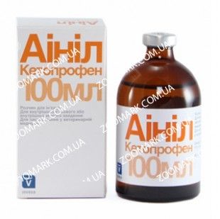 Аініл-протизапальний, INVESA Аинил, 250 мл INVESA (кетопрофен)