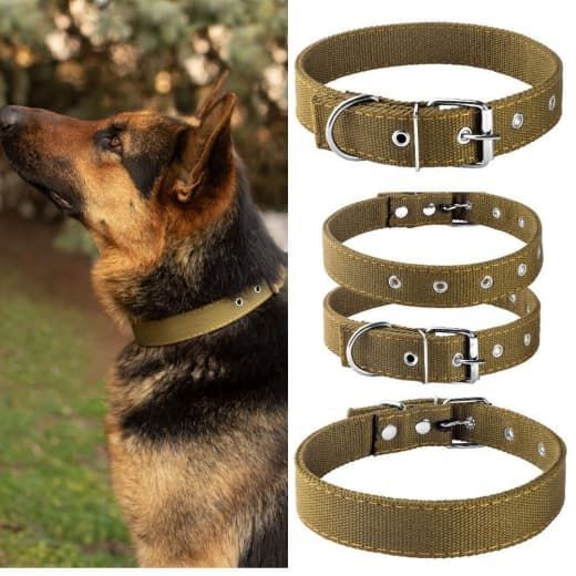 Нашийник економ брезент подвійний 26-37 см
