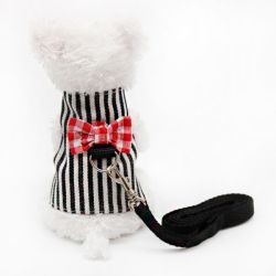 Шлея+повідець Чорна смуга для гризунів M 