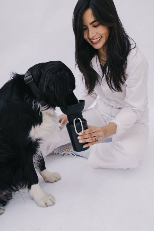 Пляшка-поїлка для собак Springland Чорний 590 мл