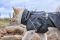Дощовик для собак Hurtta Mudventure Coat ECO 55 Сірий