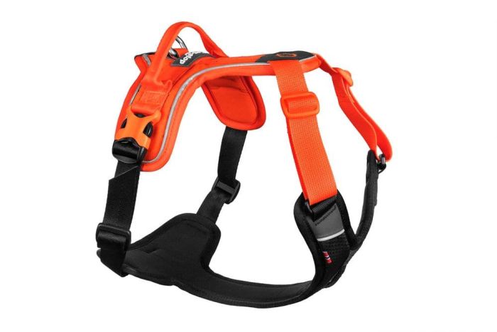 Шлейка для собак Ramble harness Non-stop dogwear Чорний/Помаранчевий S